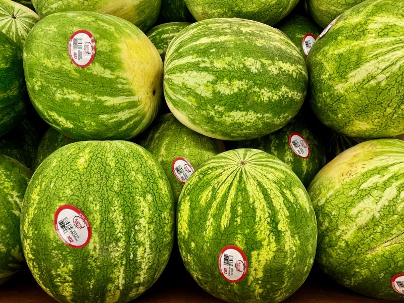 While water melons are available throughout the year, like these from Mexico, they can’t compare to the taste of Sussex County-grown melons available starting in late July. RON MACARTHUR PHOTOS